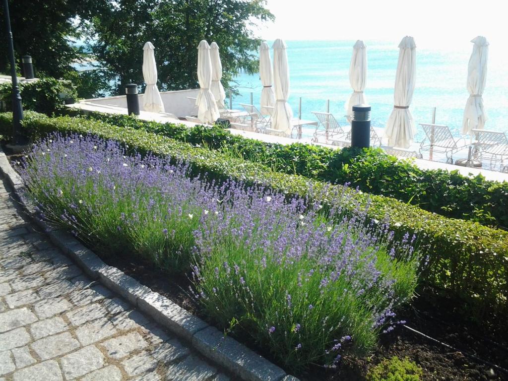 Hvd Boutique Hotel Oasis - Private Beach & Free Parking ゴールデンサンド エクステリア 写真
